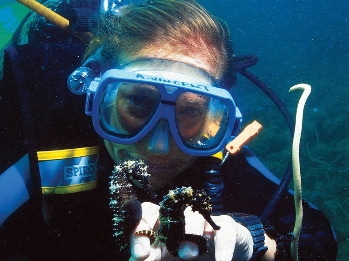 Amanda underwater in scuba gear holding two seahorses